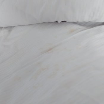 Tatilzon Turizm Tatilzon Seyahat Acentesi Ve Lizbonia Otel Hakkında Şikayet