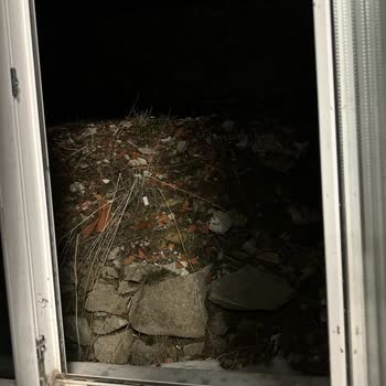 Tatilzon Turizm Tatilzon Seyahat Acentesi Ve Lizbonia Otel Hakkında Şikayet