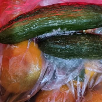 Arçelik'in Kalitesizliği Ve Müşteri Memnuniyetsizliği