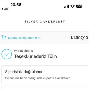 Silver Wanderlust Alışveriş Hayal Kırıklığı Ve Gecikmeler