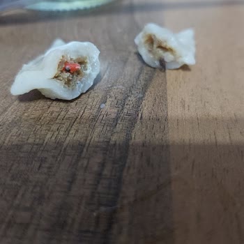 Mantıcı Baba Mantısında Plastik Parçası