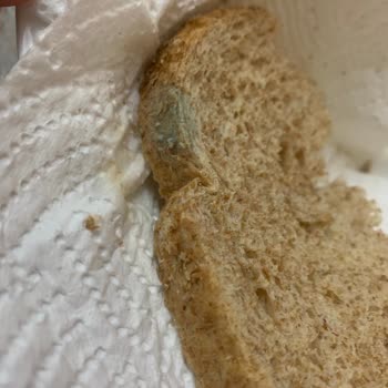 UNO Marka İnsan Sağlığıyla Oynuyor