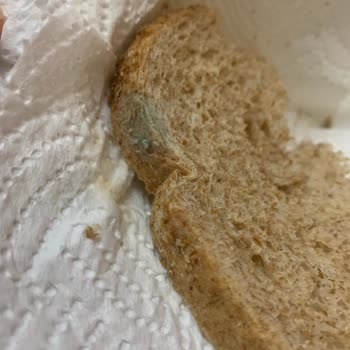 UNO Marka İnsan Sağlığıyla Oynuyor