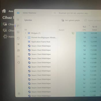 Steam Hiçbir Şey Kullanmadığım Halde 6,5 GB RAM Kullanılıyor? Bu Normal Midir
