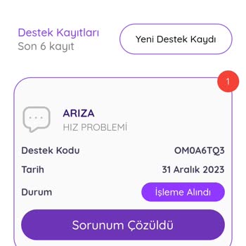 Netspeed İnternet Ping Sorunu