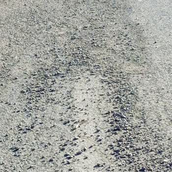 Tekirdağ Büyükşehir Belediyesinin Temizlemediği Pis Yollar.