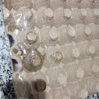 A101 Kapıda Uygulaması Sat-kaç Yaptı?!