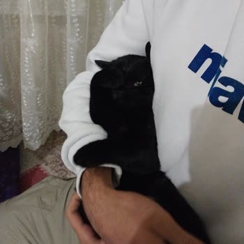 Alo 153 Hayvan Ambulansı Diyarbakır'lı 153 Hayvan Barınağının Sorumsuzluğu