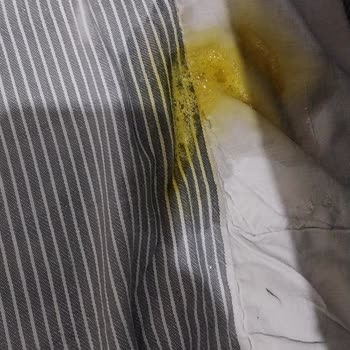 Alo 153 Hayvan Ambulansı Diyarbakır'lı 153 Hayvan Barınağının Sorumsuzluğu