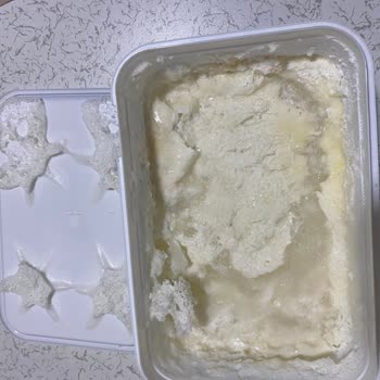 Atatürk Orman Çiftliği Dondurması Bozuk Çıktı