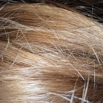 Milli Eğitim Bakanlığı (MEB) Sarı Saç Neden Okulda Yasak?