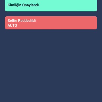 BTCTURK Pro Çekim İşlemi Selfie Sorunu