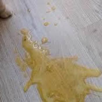 Maltana Energy Geçmiş Tarih