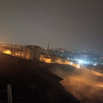 ABB - Ankara Büyükşehir Belediyesi Sahipsiz Sokak Hayvanları