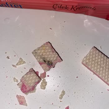 A101 Xroll Gofret Aldım İçinden Siyah Bir Şeyler Çıktı