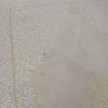 Özen Halı Yıkama Zaman Kaybı Maalesef