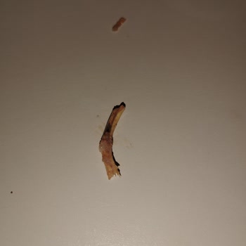 Ruffles Ketçaplı Cips Yabancı Madde