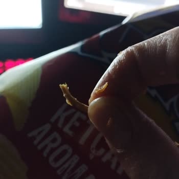 Ruffles Ketçaplı Cips Yabancı Madde