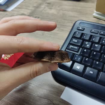 Ülker Dankek Tart Kek Mini