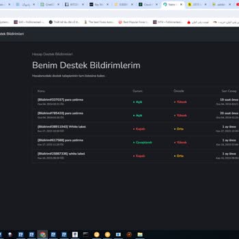 Natro Miners Yatırımcı Güven Sorunu ve Destek Eksikliği
