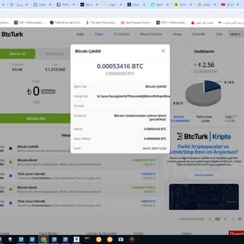 Natro Miners Yatırımcı Güven Sorunu ve Destek Eksikliği