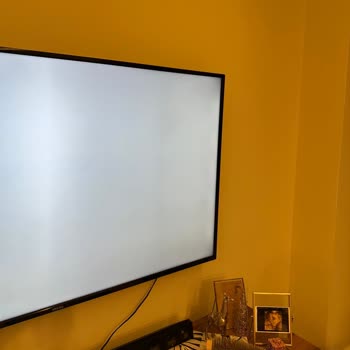 Vestel'den Alınan Ürünler Pişmanlıktır