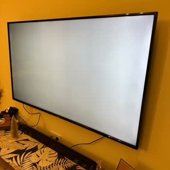 Vestel'den Alınan Ürünler Pişmanlıktır