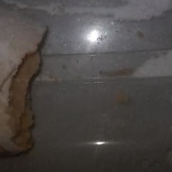 Şok Marketler Şok Tan Aldığım Mixim Elmalı Kurabiye