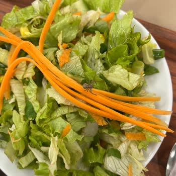 Dumlupınar KYK Kütahya