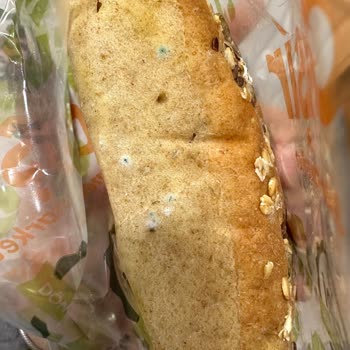 Pişir Küflü Ekmek Bayat Ürün