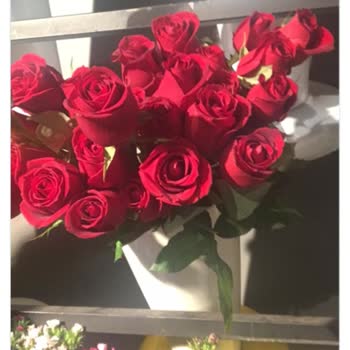 Çiçek Sepeti Sipariş İptali