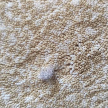 Dyson Halı Başlığı Toz Süpürmeden Sonra Tozu Bırakıyor