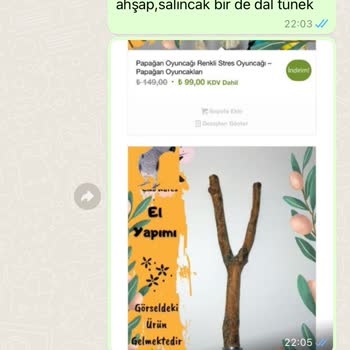 Papaganoyuncagi.com Papağan Ürünlerinde Hayal Kırıklığı