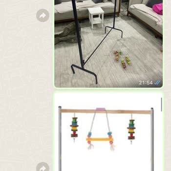 Papaganoyuncagi.com Papağan Ürünlerinde Hayal Kırıklığı