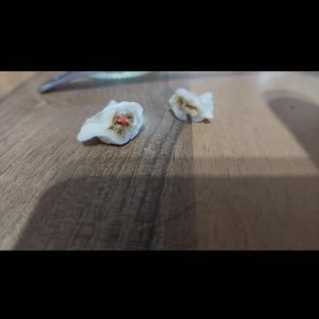 Halktan Kuruyemiş Halktan Mantıda Plastik Parça