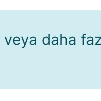 VFS Global Hollanda Giriş Yapılmıyor