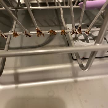 Franke Bulaşık Makinesi Alt Sepet Paslanarak Çürüdü