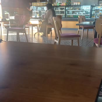 Beltur Pendik Başıboş Terk Edilmiş