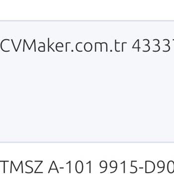 Cvmaker.com Sitesi İzinsiz Para Çekiyor