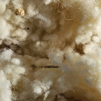 Taç Linens Yün Yastık İçeriği