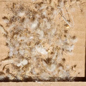 Taç Linens Yün Yastık İçeriği