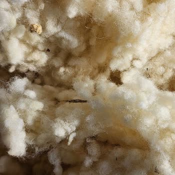 Taç Linens Yün Yastık İçeriği