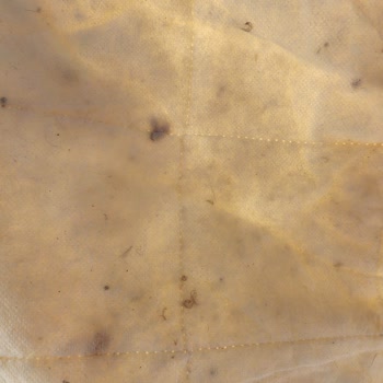 Taç Linens Yün Yastık İçeriği