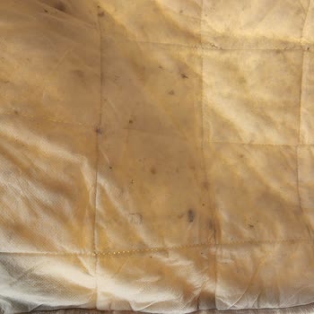 Taç Linens Yün Yastık İçeriği