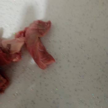 Gimat Gross (Ankara) Bilinçli Olarak Bozuk Et Satıyor