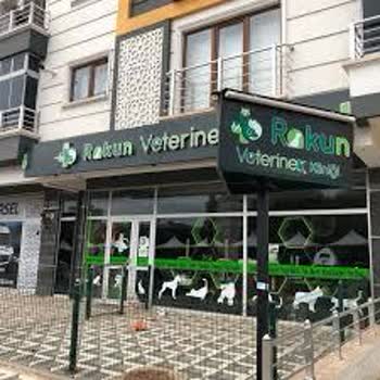 Rakun Veteriner Kliniği Köpek Hastalık Teşhisi Koyamadı