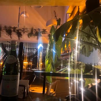 iPhone 15 Pro Ön Kamerası