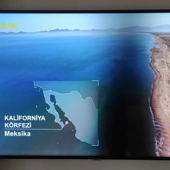 Samsung Smart TV Ekran Kararması