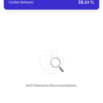 Türk Finansman Ödeme Yapmama Rağmen Risk Merkezi Raporundaki Borç Güncellenmemesi