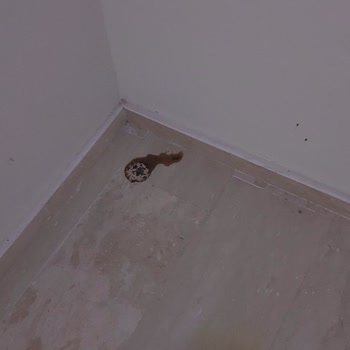 Emlak Yönetimi Ve Site Yönetimi İlgilenmiyor